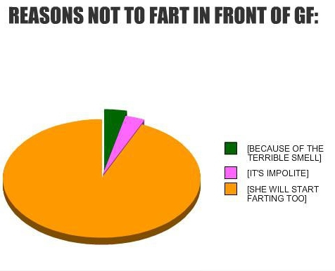 stop the farts